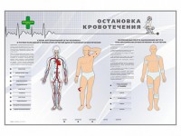 Электрифицированный стенд "Остановка кровотечения" - fgospostavki.ru - Ижевск