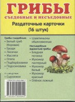 Раздаточные карточки "Грибы съедобные и не съедобные" - fgospostavki.ru - Ижевск