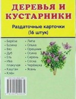 Раздаточные карточки "Деревья и кустарники" - fgospostavki.ru - Ижевск
