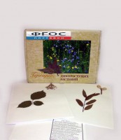 Гербарий "Дикорастущие растения" (28 видов) - fgospostavki.ru - Ижевск