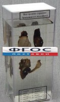 Влажный препарат "Внутреннее строение брюхоногого моллюска" - fgospostavki.ru - Ижевск