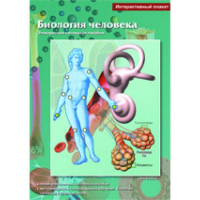 Интерактивные плакаты. Биология человека. Программно-методический комплекс - fgospostavki.ru - Ижевск