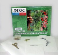 Гербарий "Основные группы растений" (52 листа) - fgospostavki.ru - Ижевск
