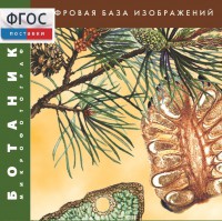 Ботаника. Микрофотографии. (Цифровая база изображений) - fgospostavki.ru - Ижевск