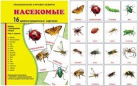 Демонстрационные карточки "Насекомые" - fgospostavki.ru - Ижевск