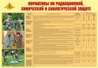 Плакат "Нормативы по радиационной, химической и биологической защите" - fgospostavki.ru - Ижевск
