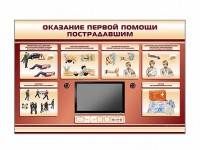 Многофункциональный интерактивный стенд-тренажер "Оказание первой помощи пострадавшим" для учащихся общеобразовательных учреждений - fgospostavki.ru - Ижевск