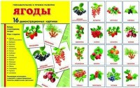 Демонстрационные карточки "Ягоды" - fgospostavki.ru - Ижевск