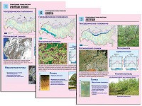 Комплект таблиц по географии "Природные зоны России" раздаточные (цветные, ламинированные, А4, 10 штук) - fgospostavki.ru - Ижевск