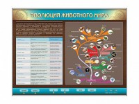 Интерактивный электрифицированный стенд "Эволюция животного мира" - fgospostavki.ru - Ижевск