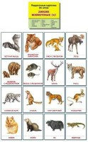 Раздаточные карточки "Дикие животные (2)" - fgospostavki.ru - Ижевск