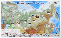 Магнитные карточки "Животные" - fgospostavki.ru - Ижевск