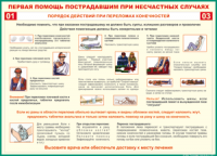 Таблица "Порядок действий при переломах конечностей" (100х140 сантиметров, винил) - fgospostavki.ru - Ижевск