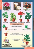Комплект таблиц. Окружающий мир 1 класс. - fgospostavki.ru - Ижевск
