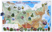 Магнитные карточки "Растения" - fgospostavki.ru - Ижевск
