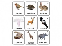 Набор магнитных карточек по музыке "Животные" (9 штук) - fgospostavki.ru - Ижевск
