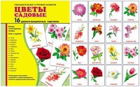 Демонстрационные карточки "Цветы садовые" - fgospostavki.ru - Ижевск