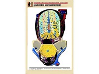 Рельефная таблица "Долька печени. Макро-микростроение" (формат А1, матовое ламинирование) - fgospostavki.ru - Ижевск