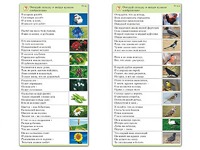 Комплект карточек (10) "Обучающий калейдоскоп. Природа" - fgospostavki.ru - Ижевск