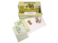 Гербарий "Для начальной школы" (30 видов, с иллюстрациями) - fgospostavki.ru - Ижевск