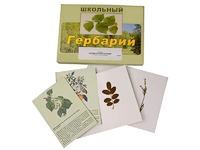 Гербарий "Деревья и кустарники" (22 вида, с иллюстрациями) - fgospostavki.ru - Ижевск