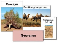 Модель-аппликация "Природные зоны России" (ламинированная) - fgospostavki.ru - Ижевск