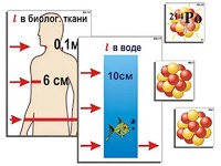 Модель-аппликация "Явление радиоактивности" (ламинированная) - fgospostavki.ru - Ижевск