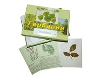 Гербарий "Дикорастущие растения" (30 видов, с иллюстрациями) - fgospostavki.ru - Ижевск