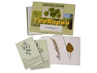 Гербарий "Лекарственные растения" (22 вида с иллюстрациями) - fgospostavki.ru - Ижевск