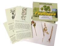 Гербарий "Систематика растений. Семейство Бобовые. Злаки" (раздаточный) - fgospostavki.ru - Ижевск