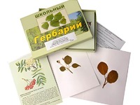 Гербарий "Систематика растений. Семейство Розоцветные" (раздаточный) - fgospostavki.ru - Ижевск