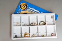 Коллекция "Раковины моллюсков" - fgospostavki.ru - Ижевск
