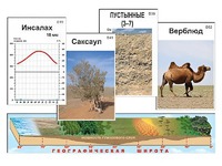 Модель-аппликация "Природные зоны" - fgospostavki.ru - Ижевск
