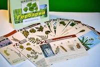 Гербарий к курсу основ общей биологии - fgospostavki.ru - Ижевск