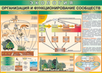 Таблица "Организация и функционирование сообществ" (100х140 сантиметров, винил) - fgospostavki.ru - Ижевск