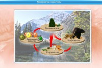 Интерактивные курсы. Биология 7 класс. Базовый. - fgospostavki.ru - Ижевск