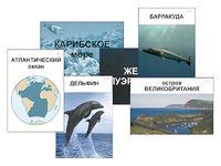 Модель-аппликация "Океаны. Знакомство" (ламинированная) - fgospostavki.ru - Ижевск