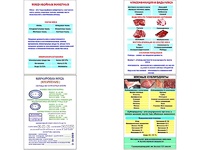 Плакаты ПРОФТЕХ "Классификации и виды мяса" (4 пл, винил, 70х100) - fgospostavki.ru - Ижевск