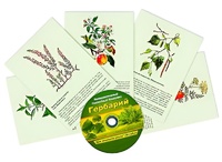 Интерактивный наглядный комплекс "Гербарий "Для начальной школы" - fgospostavki.ru - Ижевск