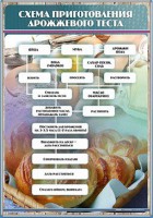 Стенд "Схема приготовления дрожжевого теста" - fgospostavki.ru - Ижевск