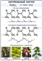 Комплект демонстрационных таблиц по химии "Полимеры" (комплект 12 таблиц) - fgospostavki.ru - Ижевск
