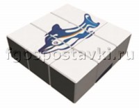 Куб "Дельфин" - fgospostavki.ru - Ижевск