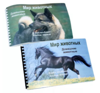 Пособие для слабовидящих - Домашние животные - fgospostavki.ru - Ижевск