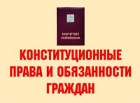 Комплект плакатов "Конституционные права и обязанности граждан" - fgospostavki.ru - Ижевск