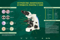 Электрифицированный стенд "Устройство микроскопа и правила работы c ним" - fgospostavki.ru - Ижевск