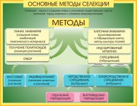 Стенд "Методы селекции и биотехнологии" - fgospostavki.ru - Ижевск