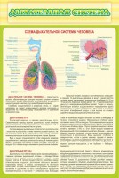 Стенд "Дыхательная система" - fgospostavki.ru - Ижевск