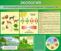 Стенд "Экология. Организация и функционирование сообществ" - fgospostavki.ru - Ижевск