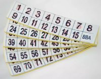 Фишки для игры «Бинго» со шрифтом Брайля - fgospostavki.ru - Ижевск