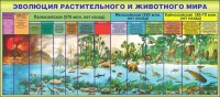 Стенд "Эволюция растительного и животного мира" - fgospostavki.ru - Ижевск
